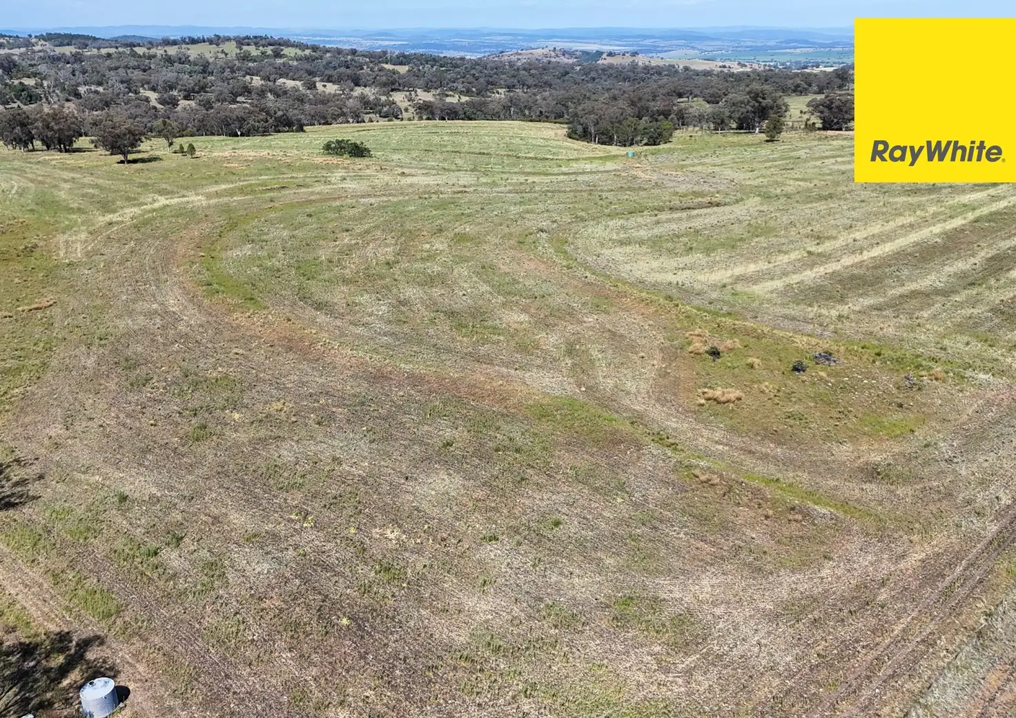Main view of Homely rural property listing, 600 Blyths Lane, Delungra NSW 2403