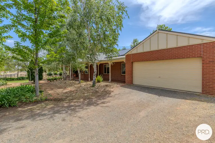 Fourth view of Homely house listing, 169 Euston Avenue, Irymple VIC 3498