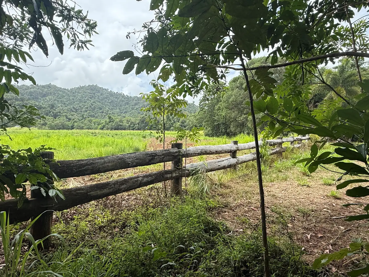 Main view of Homely land listing, Lot 299 Bruce Highway, Friday Pocket QLD 4855