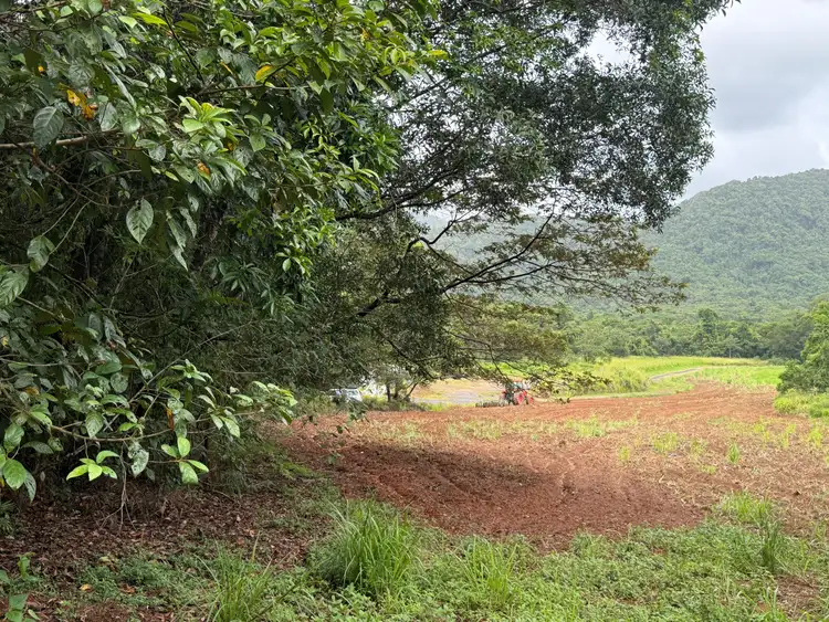 Second view of Homely land listing, Lot 299 Bruce Highway, Friday Pocket QLD 4855