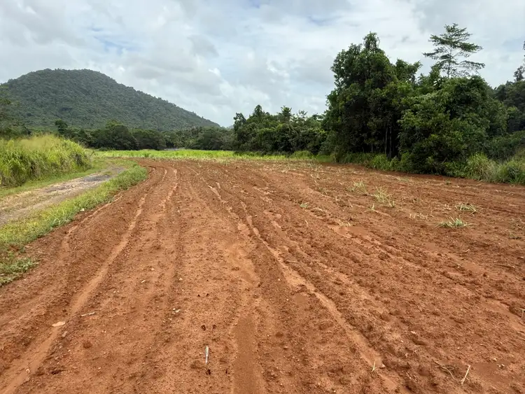 Sixth view of Homely land listing, Lot 299 Bruce Highway, Friday Pocket QLD 4855