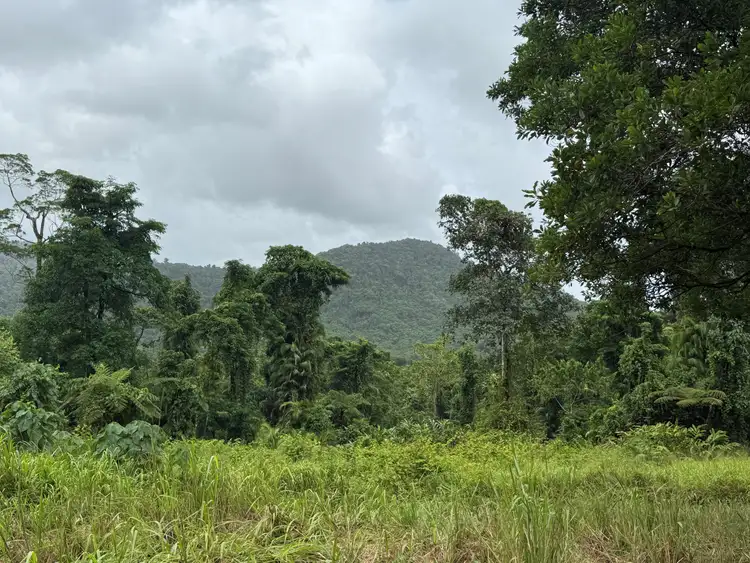 Seventh view of Homely land listing, Lot 299 Bruce Highway, Friday Pocket QLD 4855