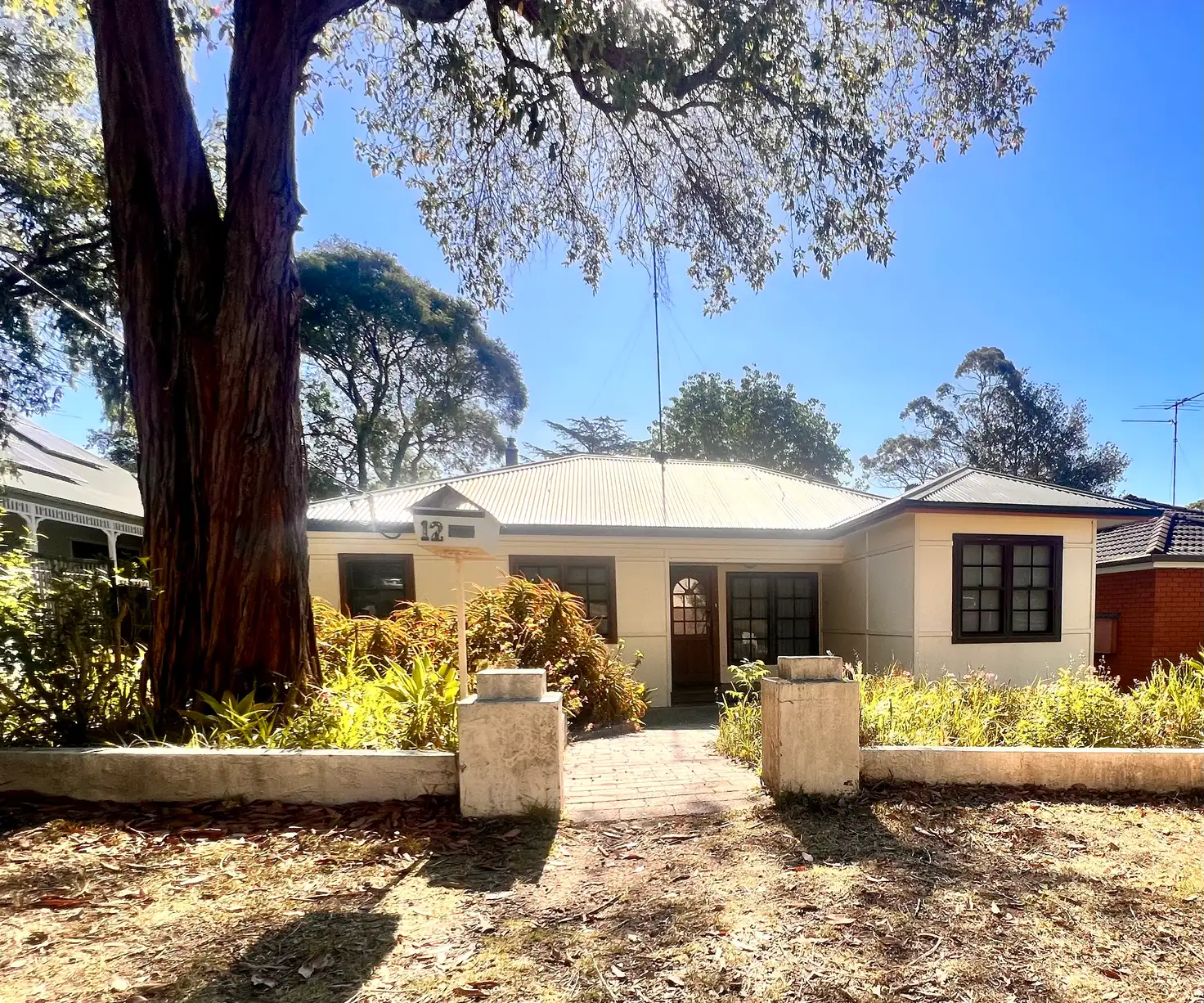 Main view of Homely house listing, 12 David Street, Glenbrook NSW 2773