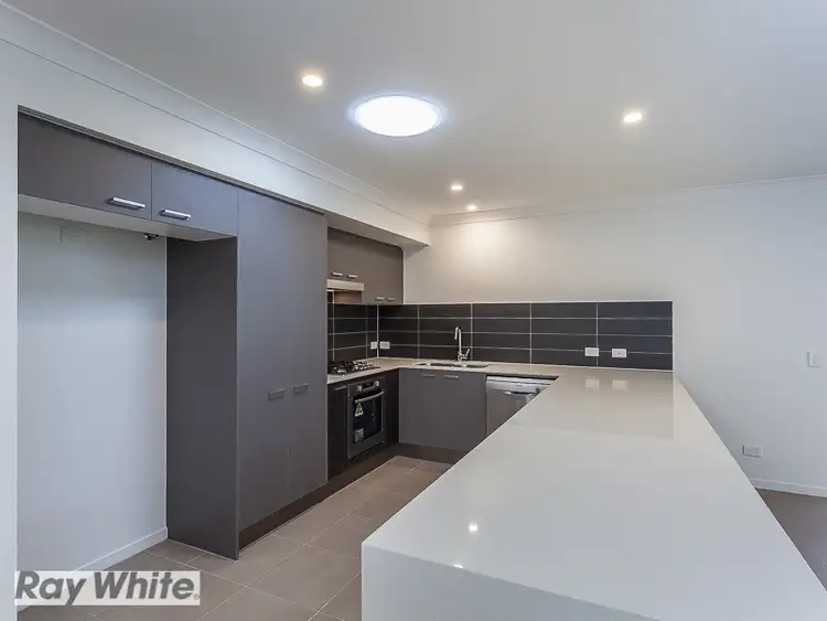 Third view of Homely house listing, 15 Macadamia Street, Mango Hill QLD 4509