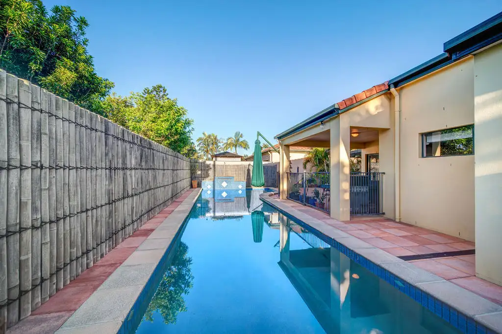 Main view of Homely house listing, 16 Meisner Court, Mountain Creek QLD 4557