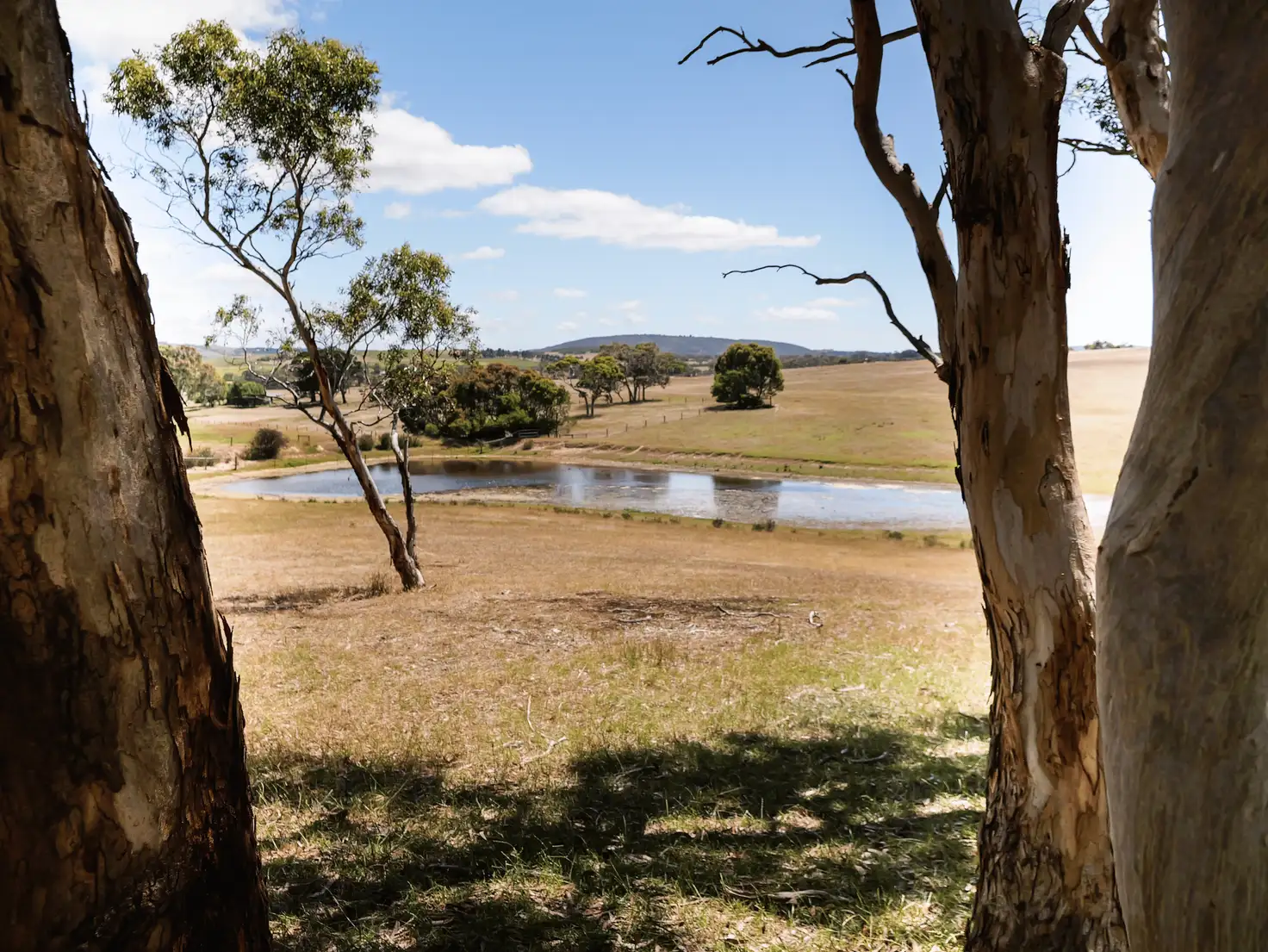 Main view of Homely rural property listing, 30 Bonds Road, Nangkita SA 5210