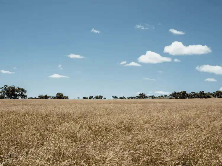 Third view of Homely rural property listing, 30 Bonds Road, Nangkita SA 5210