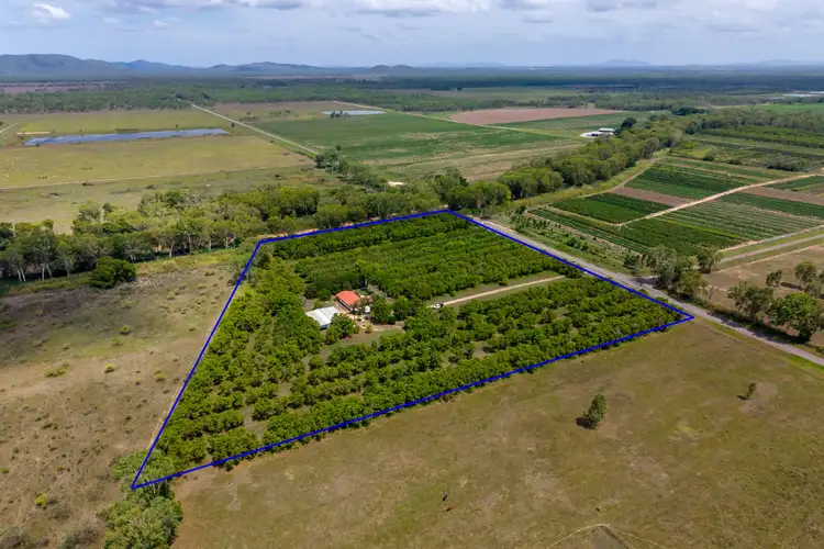 Second view of Homely rural property listing, 2804 WoodStock Giru Road, Majors Creek QLD 4816