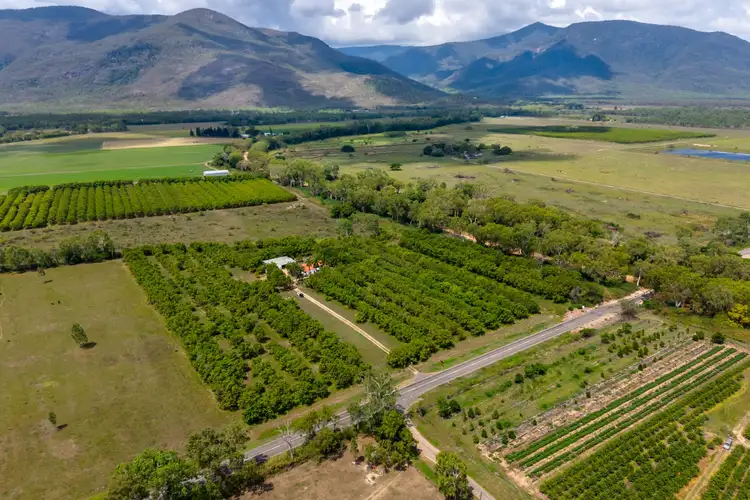 Fourth view of Homely rural property listing, 2804 WoodStock Giru Road, Majors Creek QLD 4816