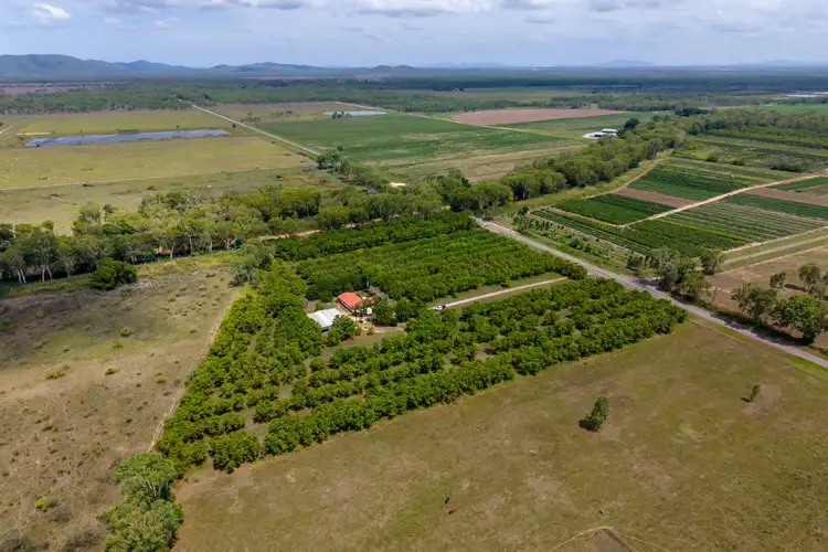 Fifth view of Homely rural property listing, 2804 WoodStock Giru Road, Majors Creek QLD 4816