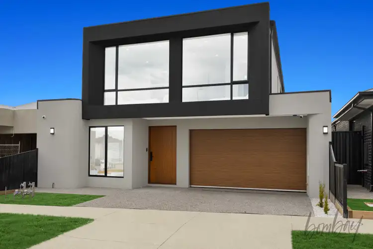 Second view of Homely house listing, 19 Persimmon Road, Craigieburn VIC 3064