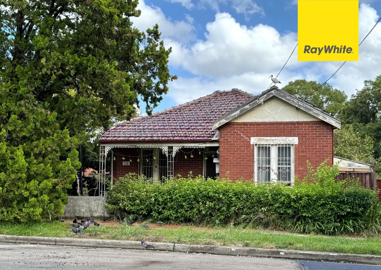 Main view of Homely house listing, 12 George Street, Lidcombe NSW 2141