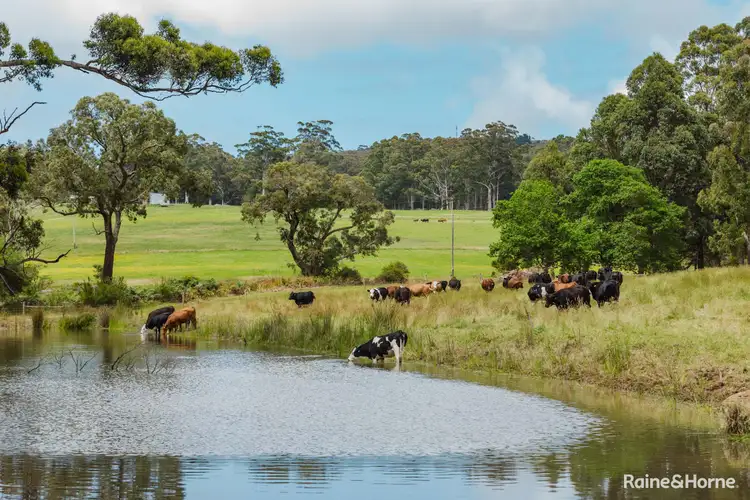Second view of Homely rural property listing, 198 Glenrowan Road, Scotsdale WA 6333