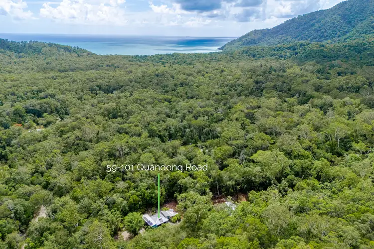 59-101 Quandong Road, Cow Bay, Daintree QLD 4873