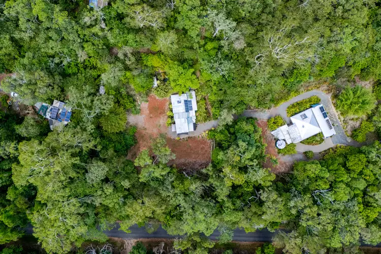 Second view of Homely house listing, 59-101 Quandong Road, Cow Bay, Daintree QLD 4873