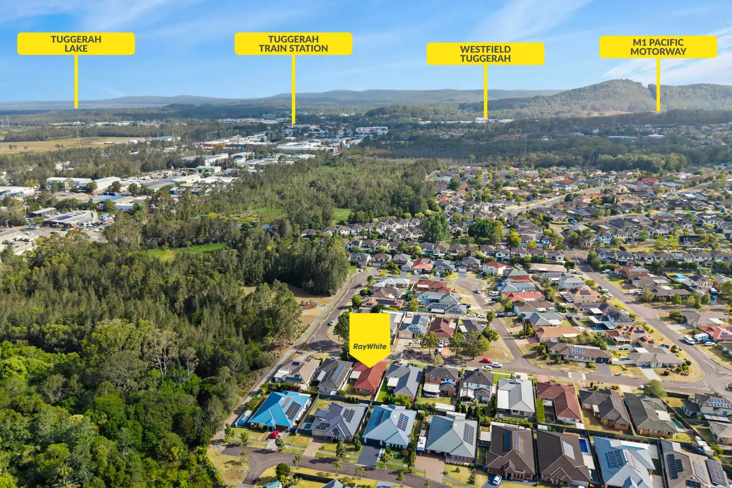 Main view of Homely house listing, 17 Tea Tree Place, Mardi NSW 2259