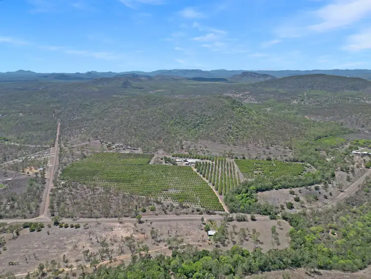 Second view of Homely other listing, 184 Dingo Park Road, Woodstock QLD 4816