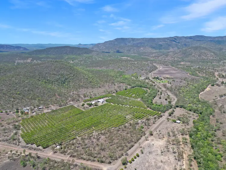 Third view of Homely other listing, 184 Dingo Park Road, Woodstock QLD 4816