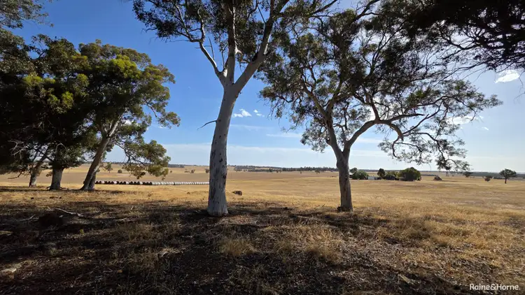 1128 Bokal Road South, Mokup WA 6394