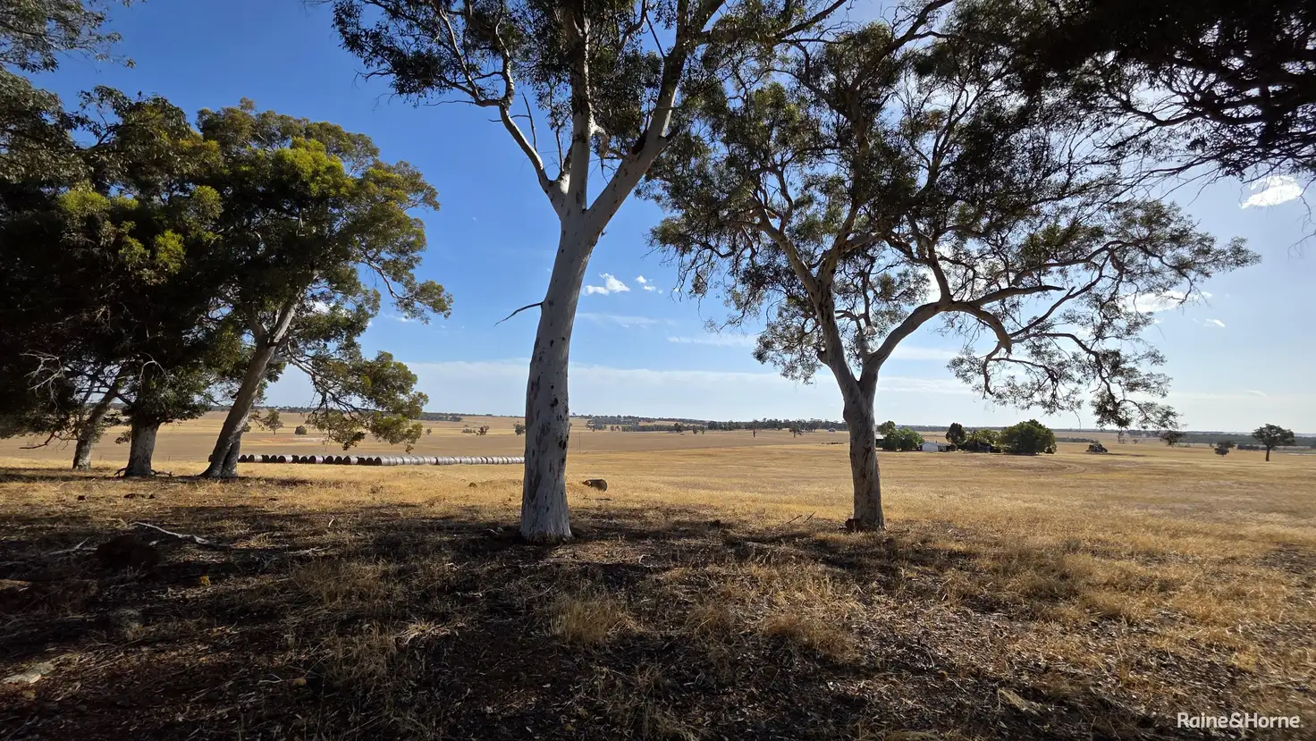 Main view of Homely rural property listing, 1128 Bokal Road South, Mokup WA 6394