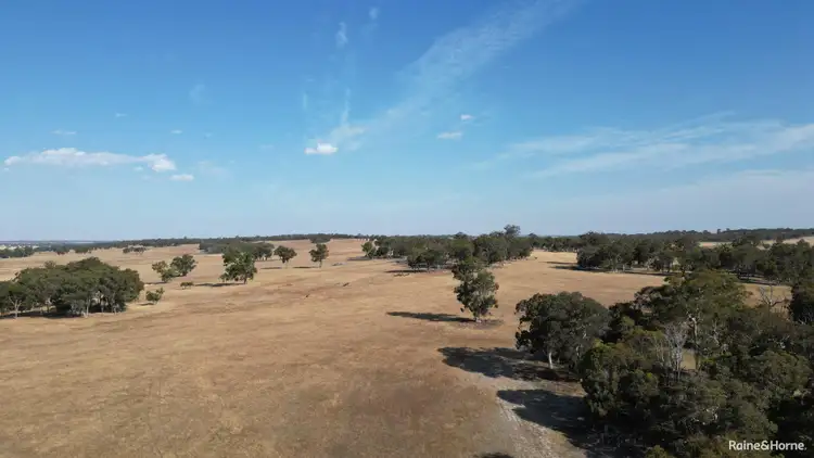 Third view of Homely rural property listing, 1128 Bokal Road South, Mokup WA 6394