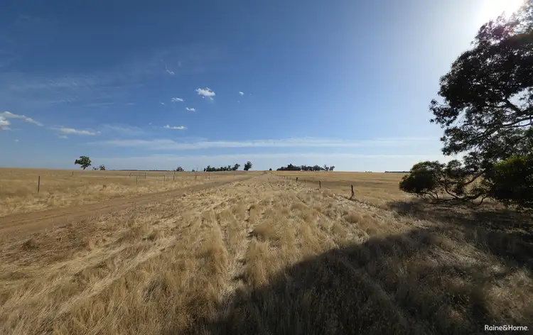 Fourth view of Homely rural property listing, 1128 Bokal Road South, Mokup WA 6394