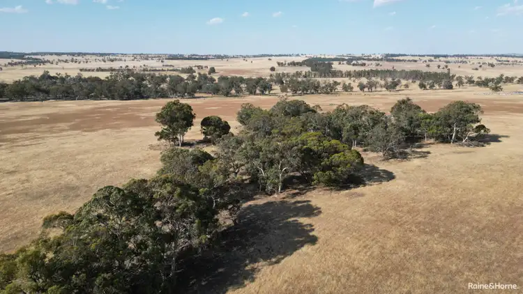 Sixth view of Homely rural property listing, 1128 Bokal Road South, Mokup WA 6394