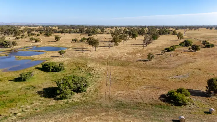 Fourth view of Homely house listing, 333 Greenlands Road, West Pinjarra WA 6208
