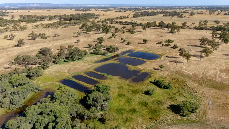 Fifth view of Homely house listing, 333 Greenlands Road, West Pinjarra WA 6208