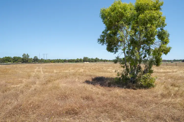 Seventh view of Homely land listing, 345 Shanns Road, North Dandalup WA 6207