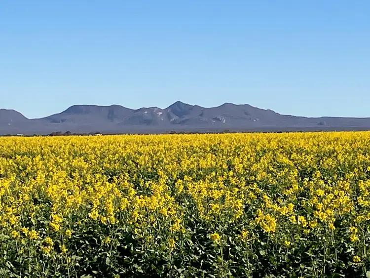 Sixth view of Homely land listing, 10 France Street, Hopetoun WA 6348