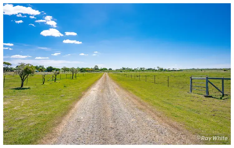 Third view of Homely rural property listing, 416 Mckenzie Road, Alton Downs QLD 4702