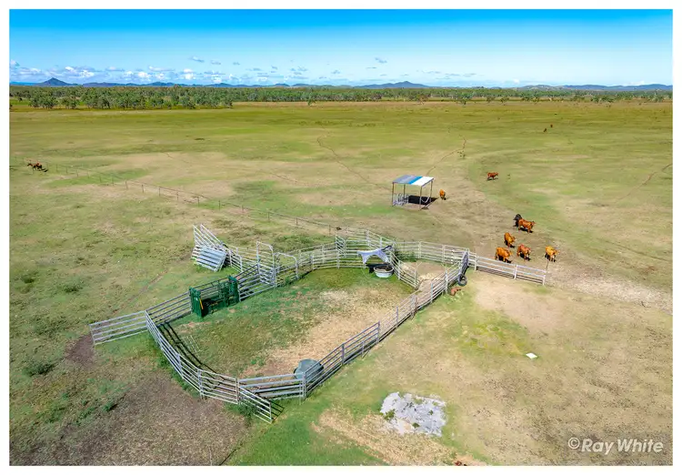 Fourth view of Homely rural property listing, 416 Mckenzie Road, Alton Downs QLD 4702