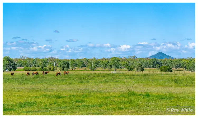 Fifth view of Homely rural property listing, 416 Mckenzie Road, Alton Downs QLD 4702