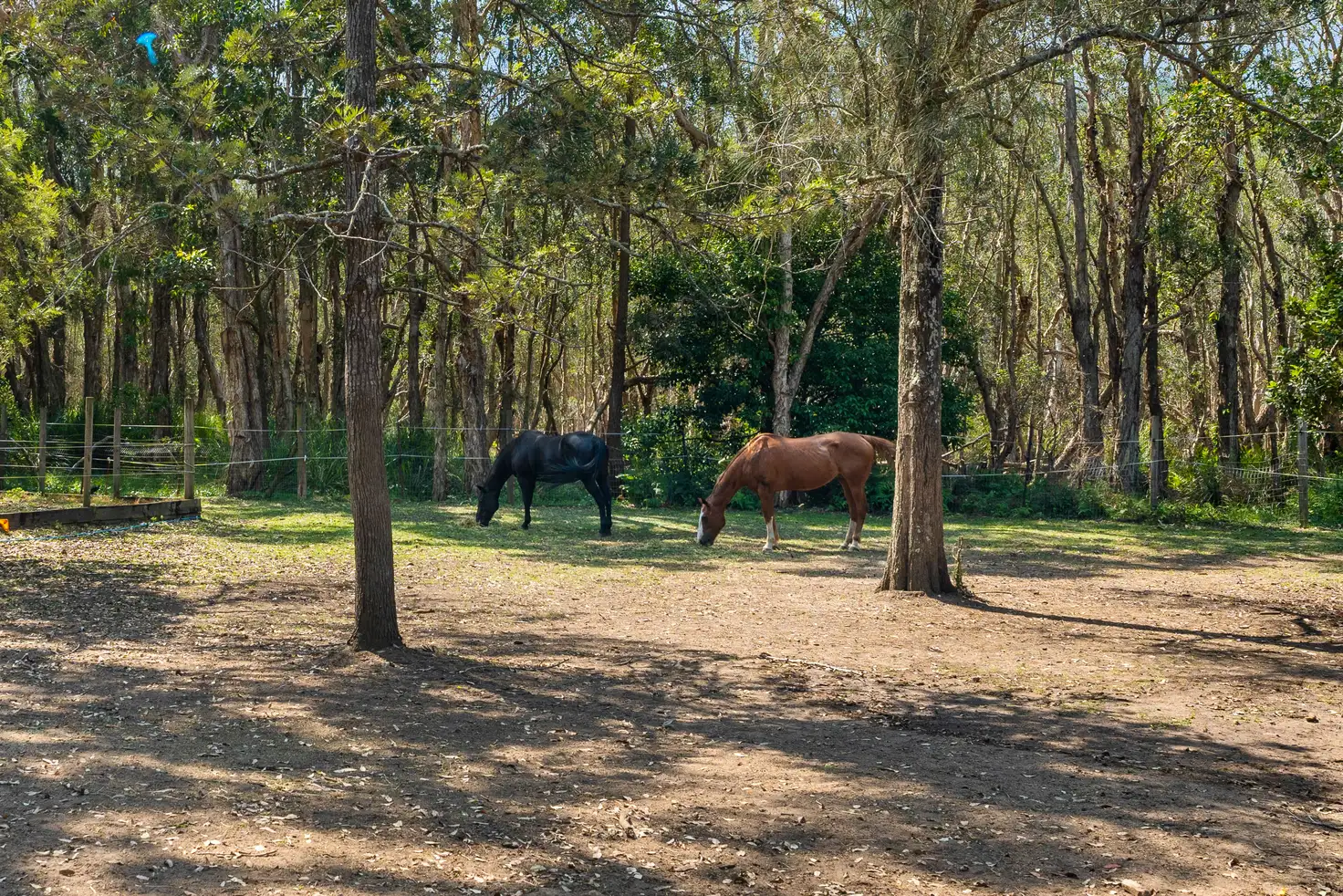 Main view of Homely rural property listing, 2 Warner Avenue, Tuggerawong NSW 2259