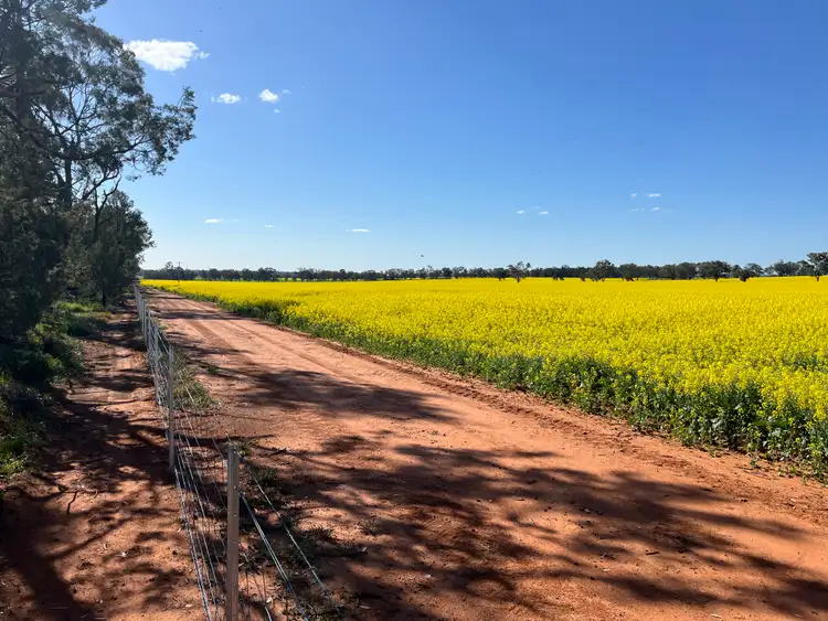 Sixth view of Homely rural property listing, 2 Coolamon Road, Coolamon NSW 2701