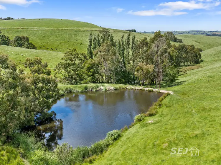 Sixth view of Homely rural property listing, 1510 Meeniyan-Mirboo North Road, Dumbalk VIC 3956