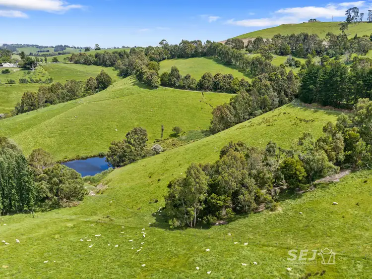Seventh view of Homely rural property listing, 1510 Meeniyan-Mirboo North Road, Dumbalk VIC 3956