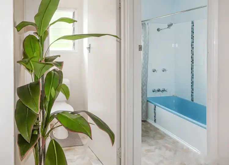 Third view of Homely semi-detached listing, 1/46 Silky Oak Street, Kirwan QLD 4817