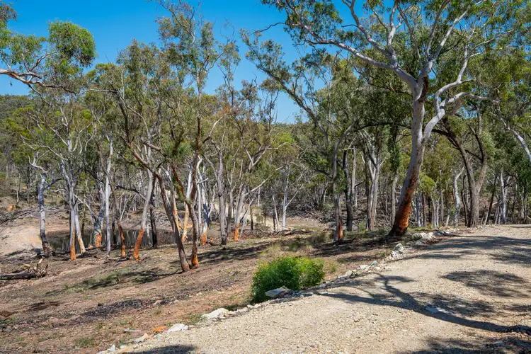 Fifth view of Homely rural property listing, Lot 101 Lucks Lane Lerida Via, Gunning NSW 2581