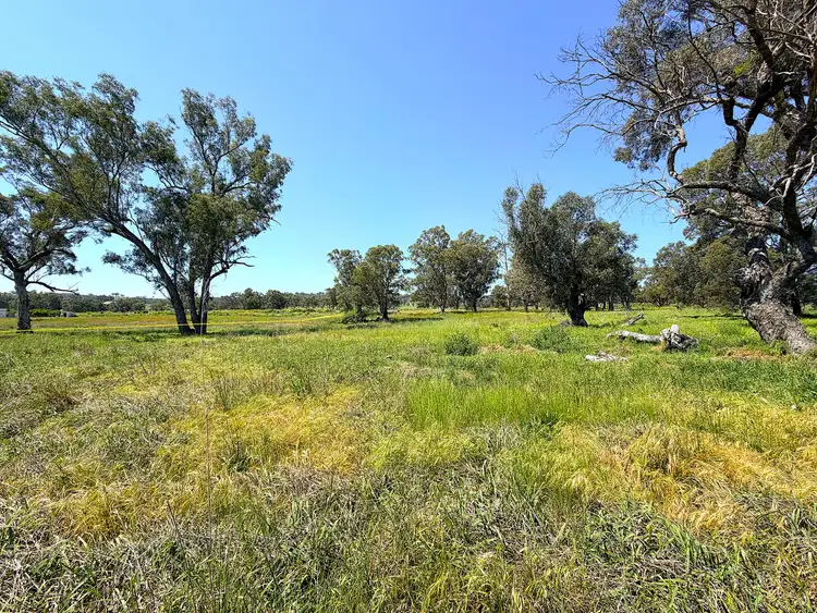 Seventh view of Homely rural property listing, 40 Merriwa Road, Willow Tree NSW 2339