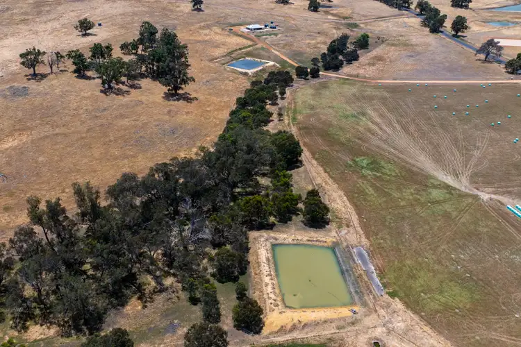 Sixth view of Homely rural property listing, 2003 Winnejup Road (Mayanup), Boyup Brook WA 6244