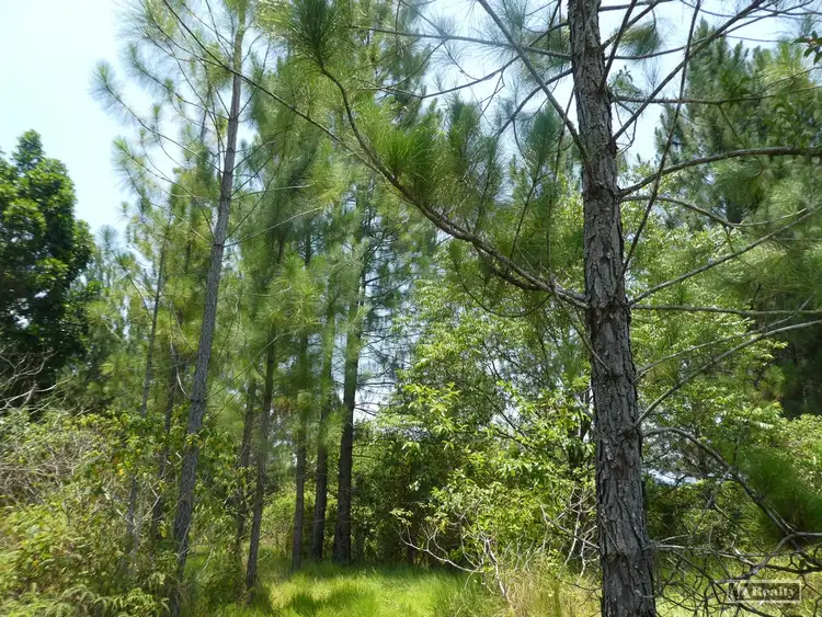 Seventh view of Homely rural property listing, Address available on request