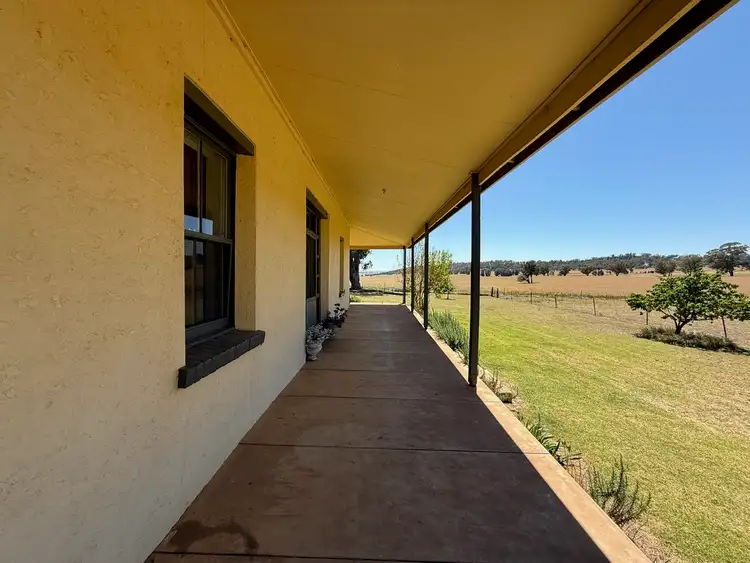 419 Cobdens Road, Euberta NSW 2650