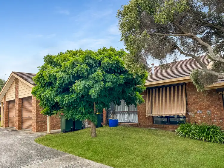 6/24 Percy Street, Newtown VIC 3220