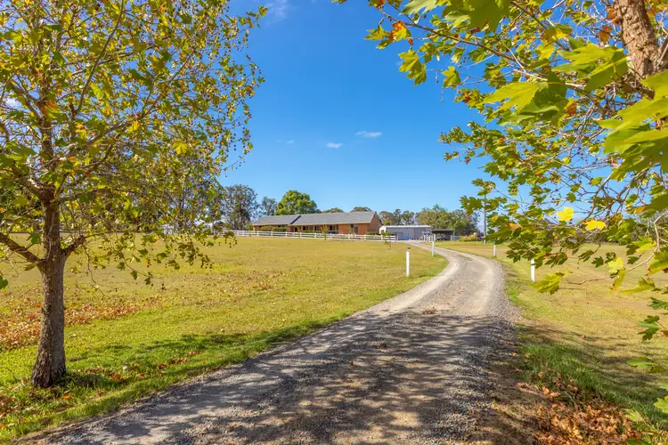 216 Cedar Party Road