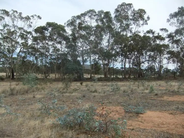 Second view of Homely rural property listing, * High Street, Moliagul VIC 3472
