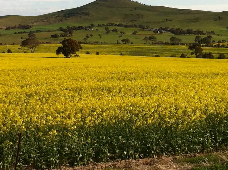 Main view of Homely rural property listing, 0 Burrumbeep Road, Maroona VIC 3377
