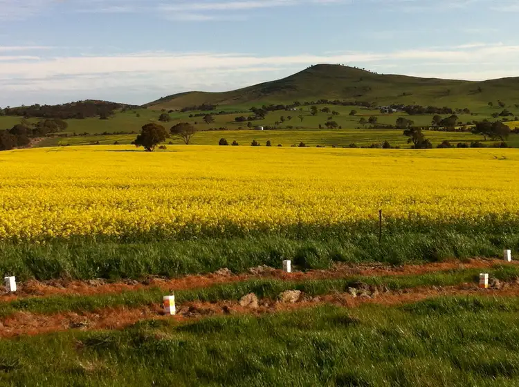 Fourth view of Homely rural property listing, 0 Burrumbeep Road, Maroona VIC 3377