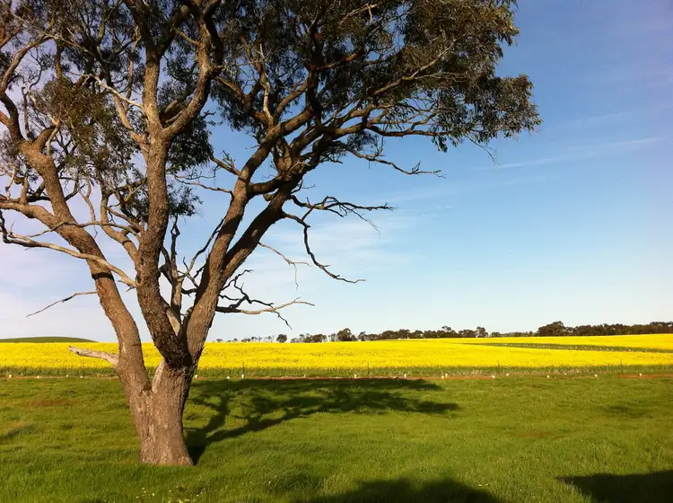 Fifth view of Homely rural property listing, 0 Burrumbeep Road, Maroona VIC 3377